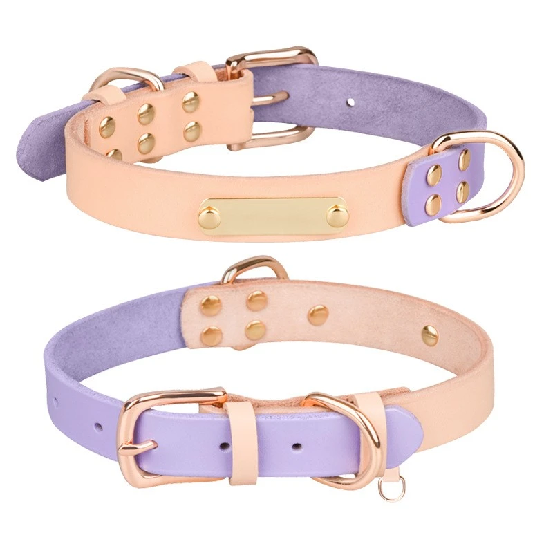 Personalized Leather Dog Collars best