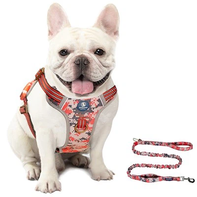 How To Find A Suitable Collar For Your Dog